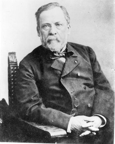 Louis Pasteur (1822-95) von French Photographer